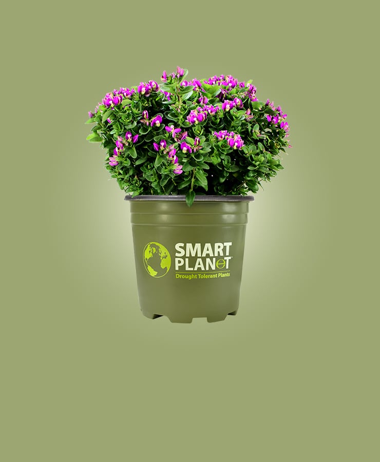 Smart Planet™