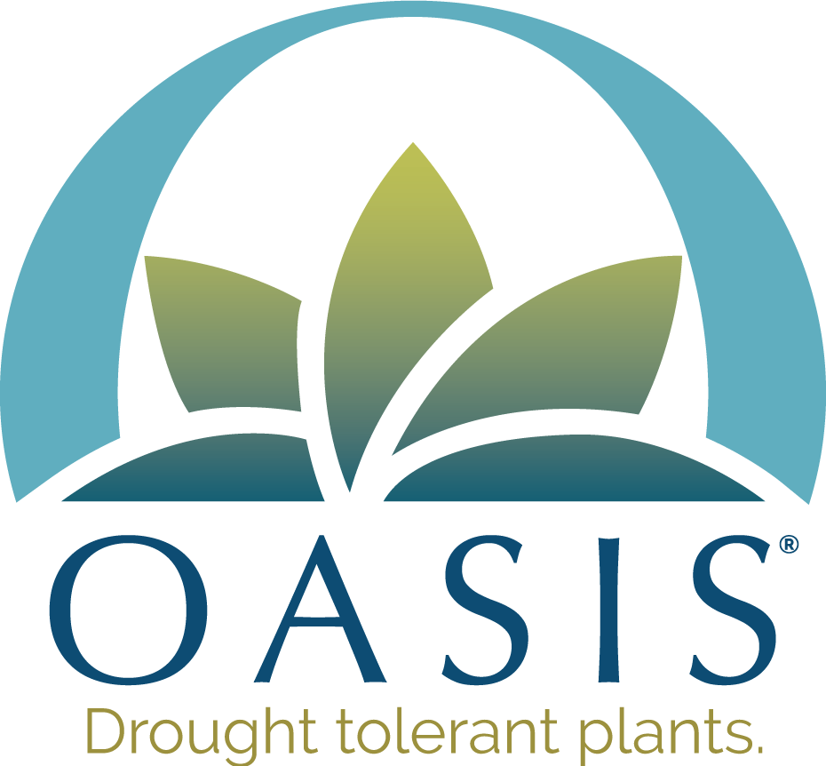 Oasis logo